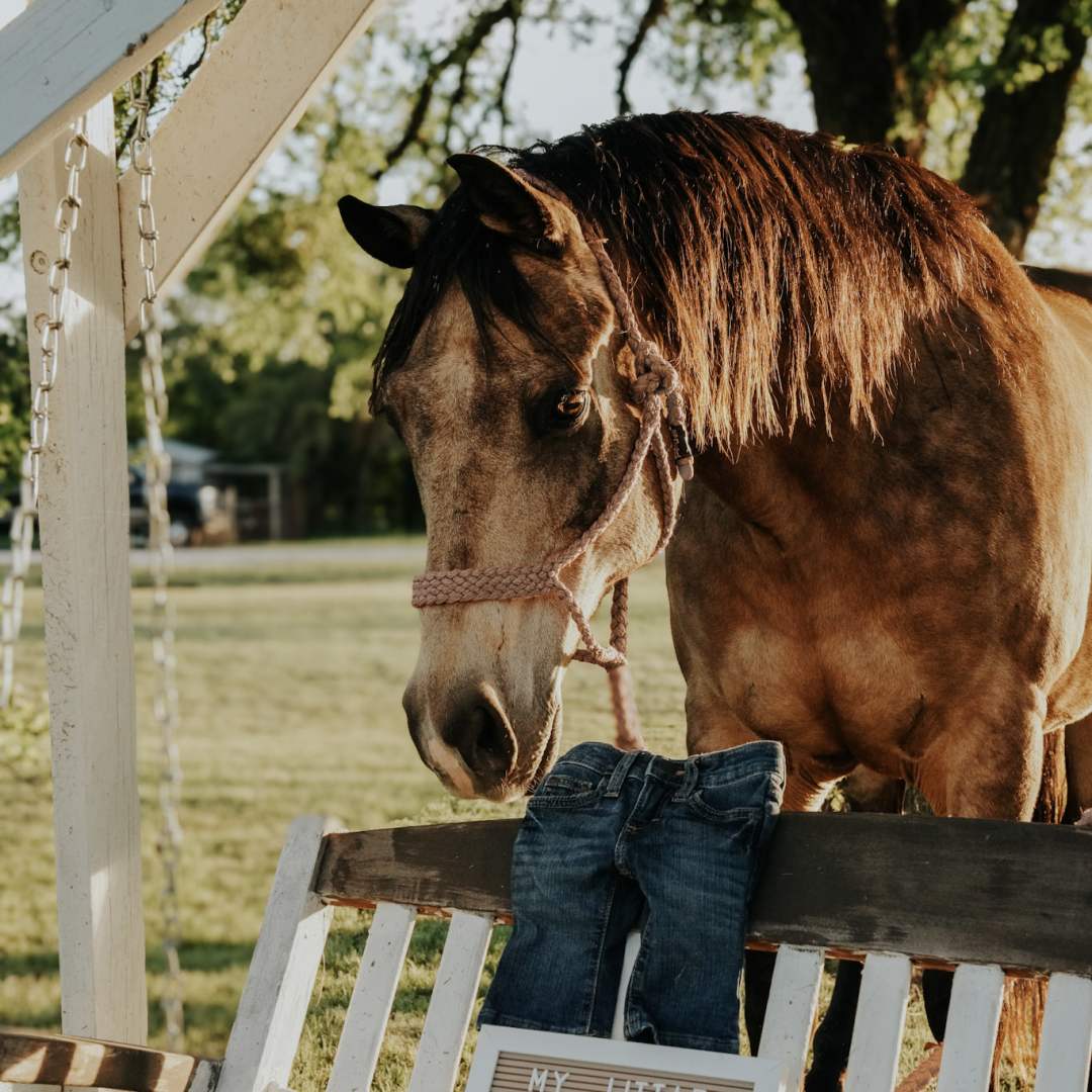 Photo shared by Sydney for their Babylist baby registry.