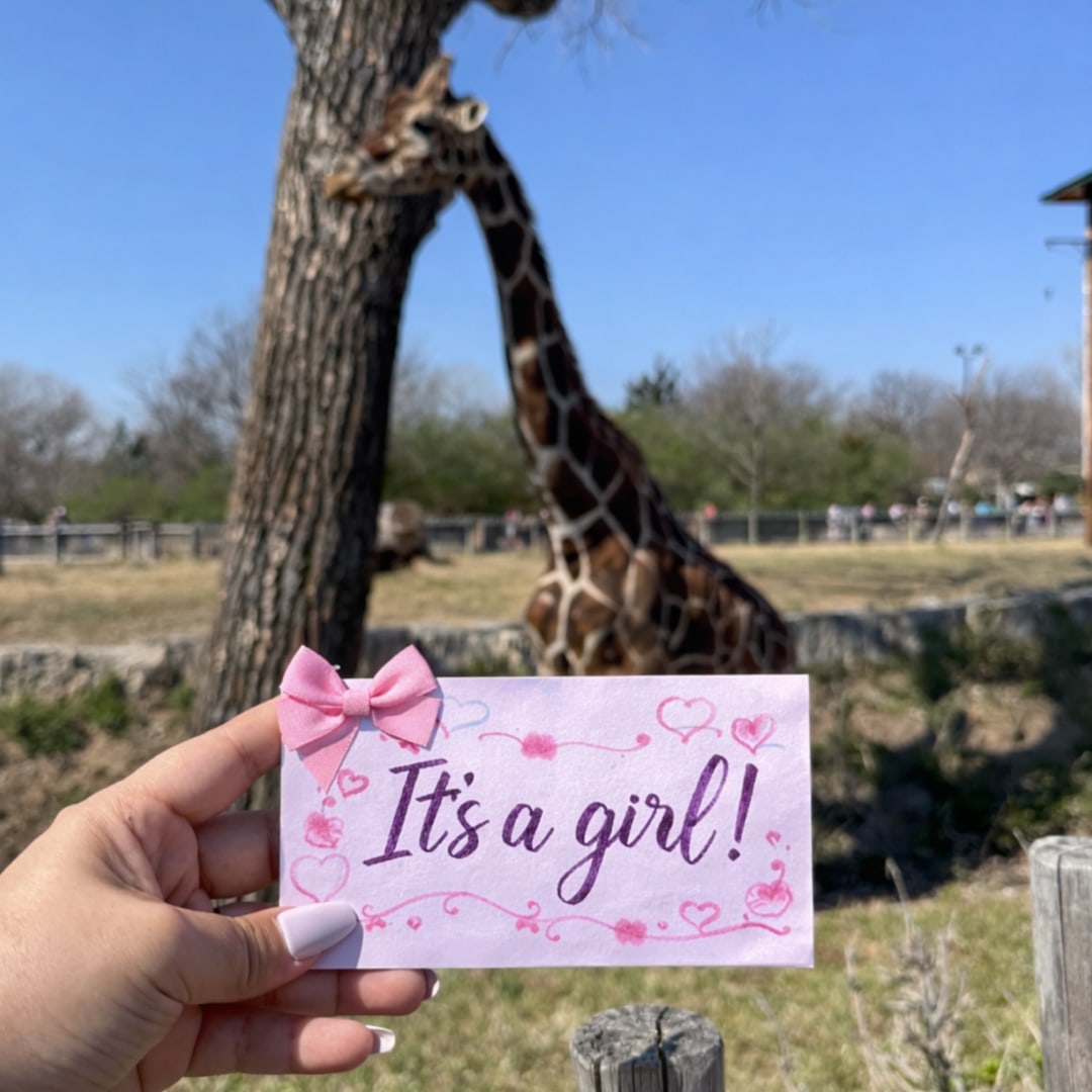 Photo shared by Fabiola for their Babylist baby registry.