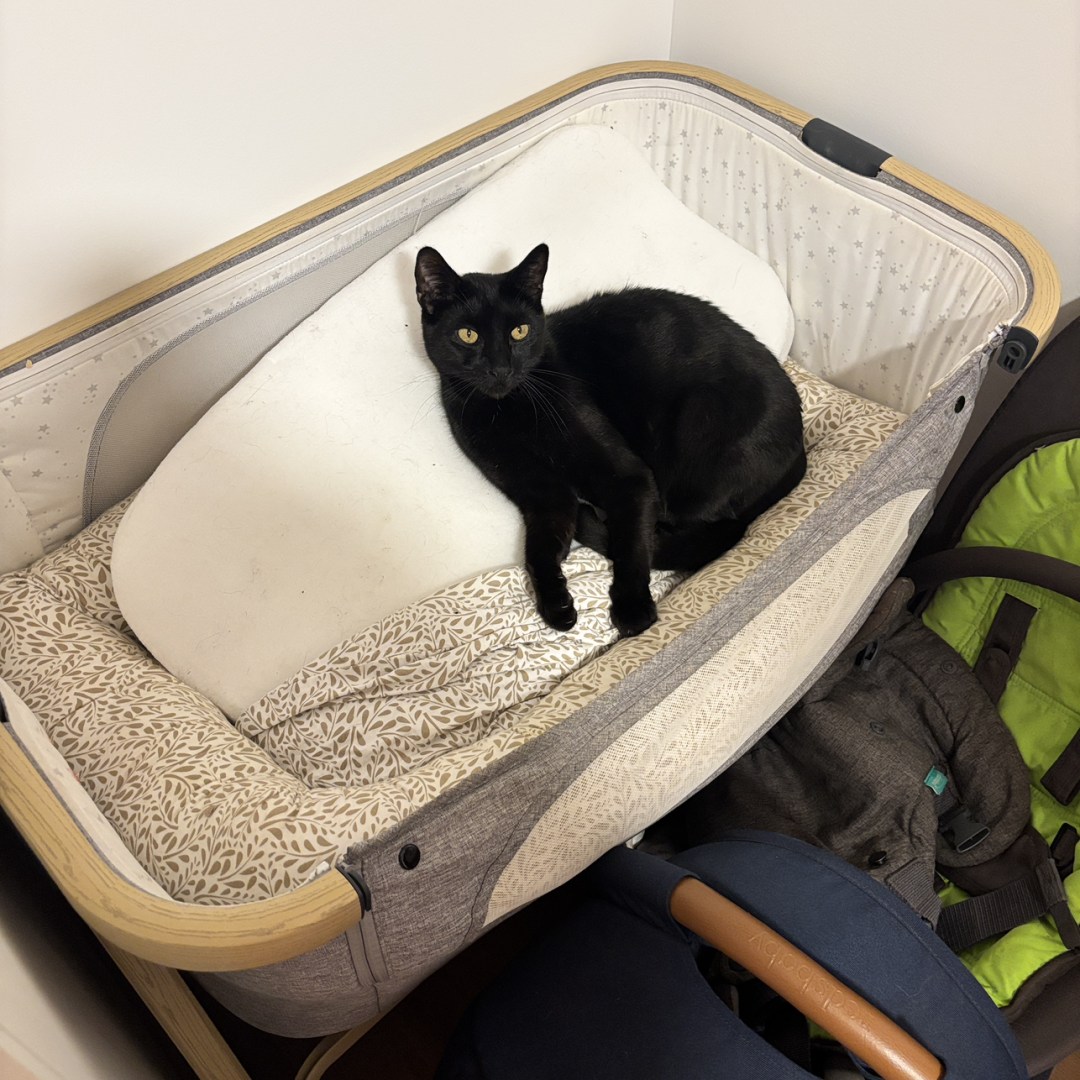 Photo shared by Shae for their Babylist baby registry.