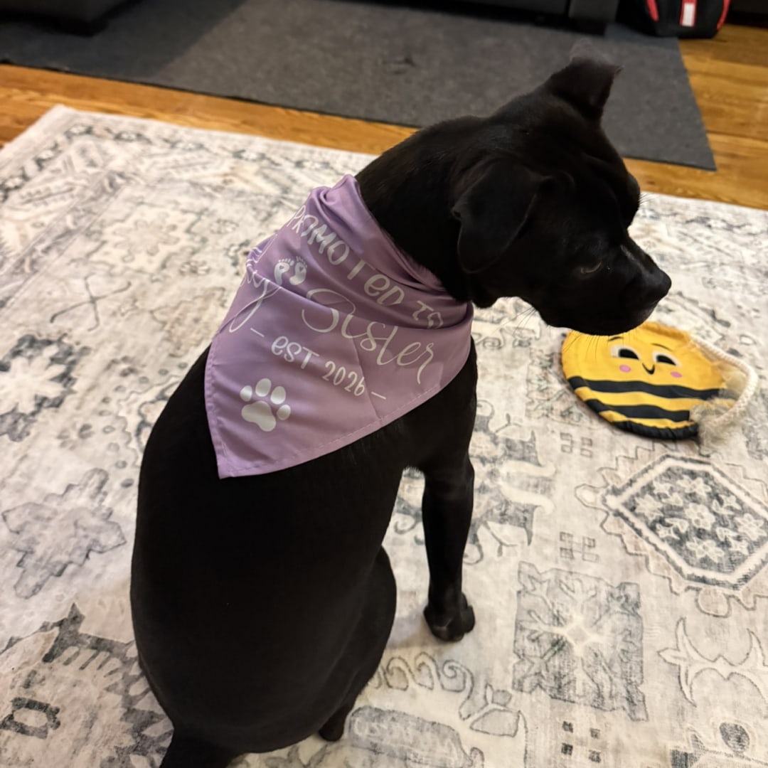 Photo shared by Sleyker for their Babylist baby registry.