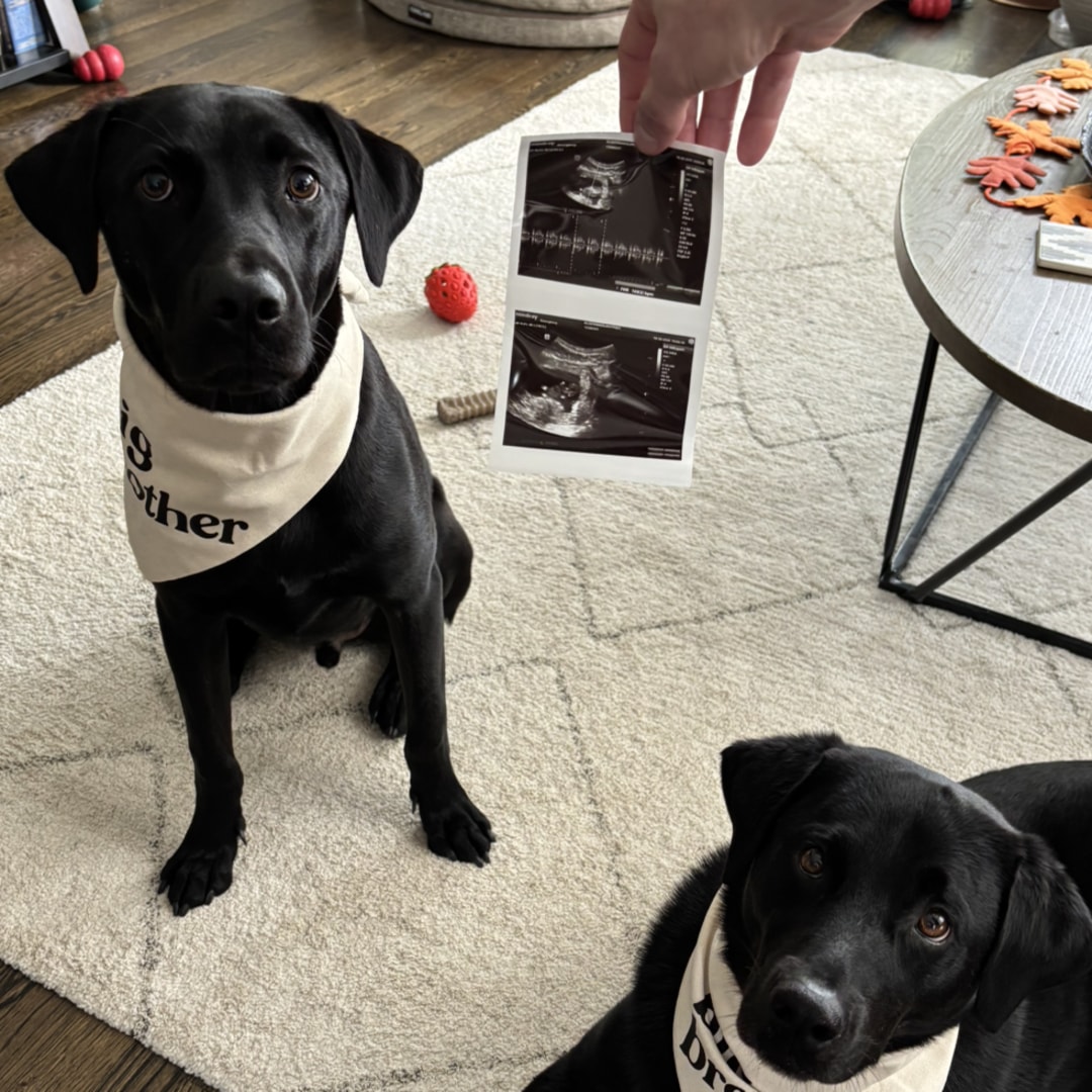 Photo shared by Brittney for their Babylist baby registry.