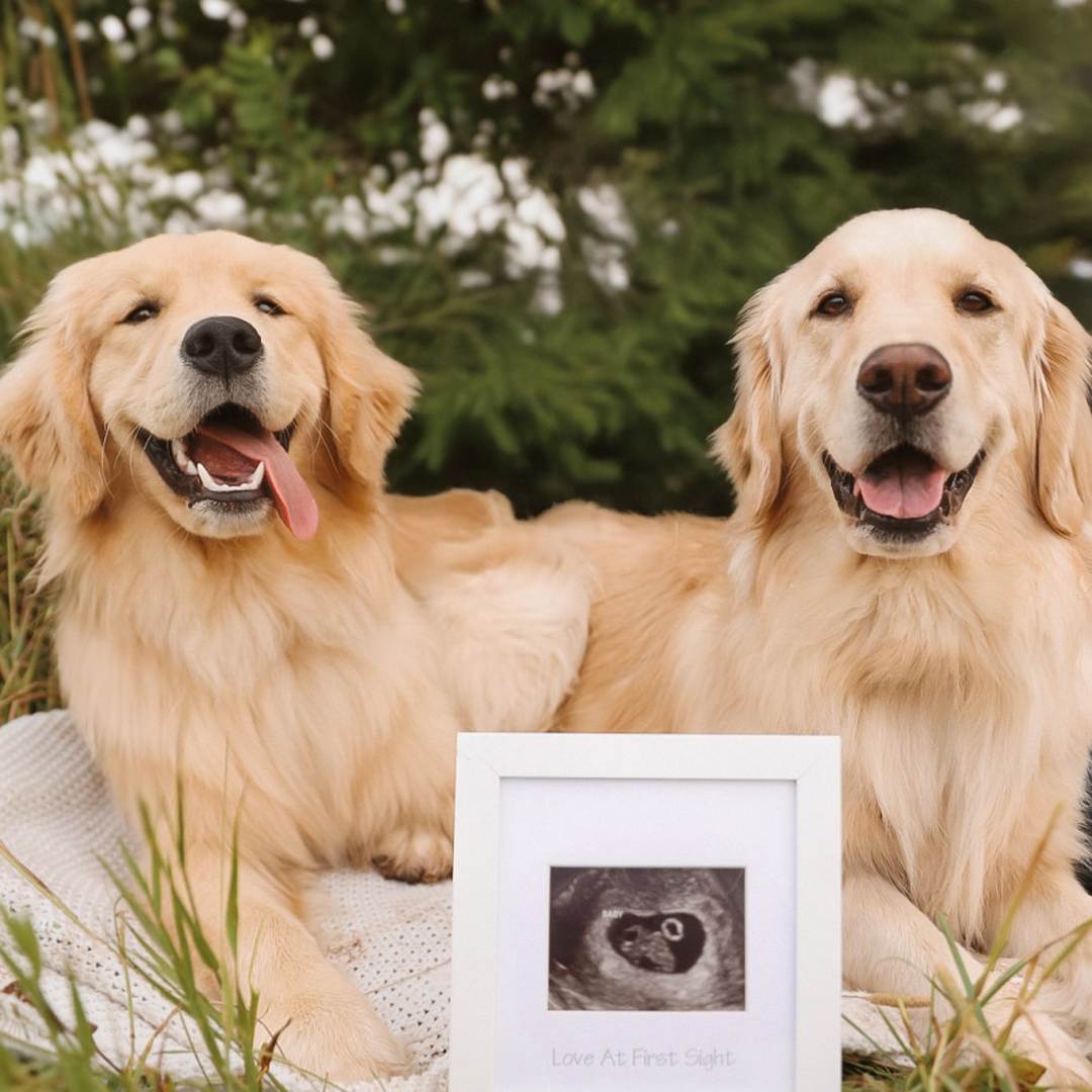 Photo shared by Tim for their Babylist baby registry.