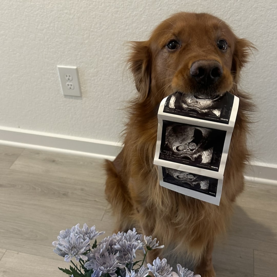 Photo shared by Jeanne for their Babylist baby registry.