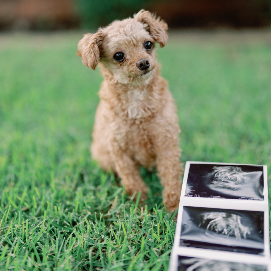 Photo shared by Carli for their Babylist baby registry.