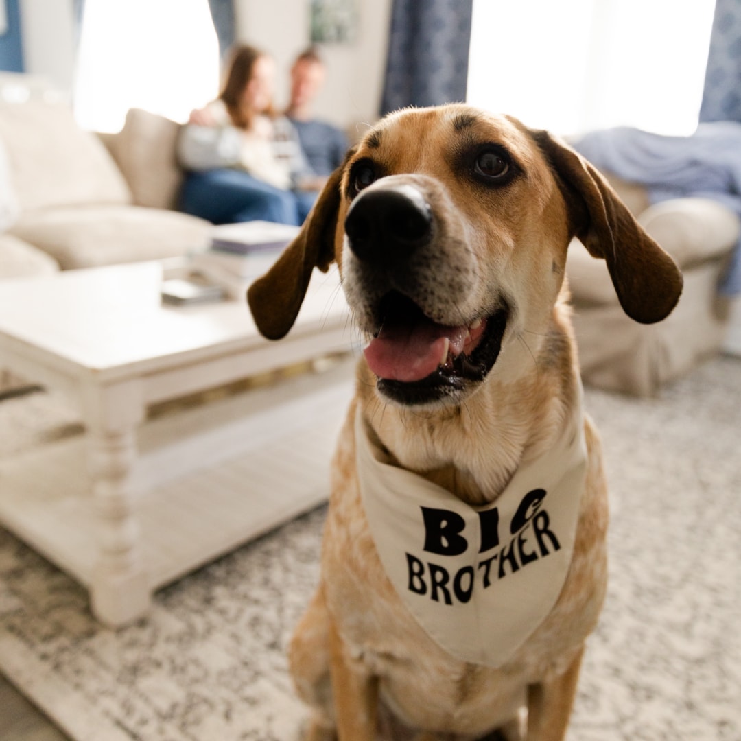 Photo shared by Lauren for their Babylist baby registry.