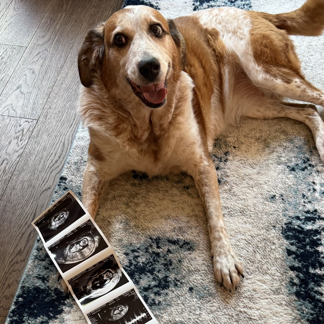 Photo shared by Cassie for their Babylist baby registry.