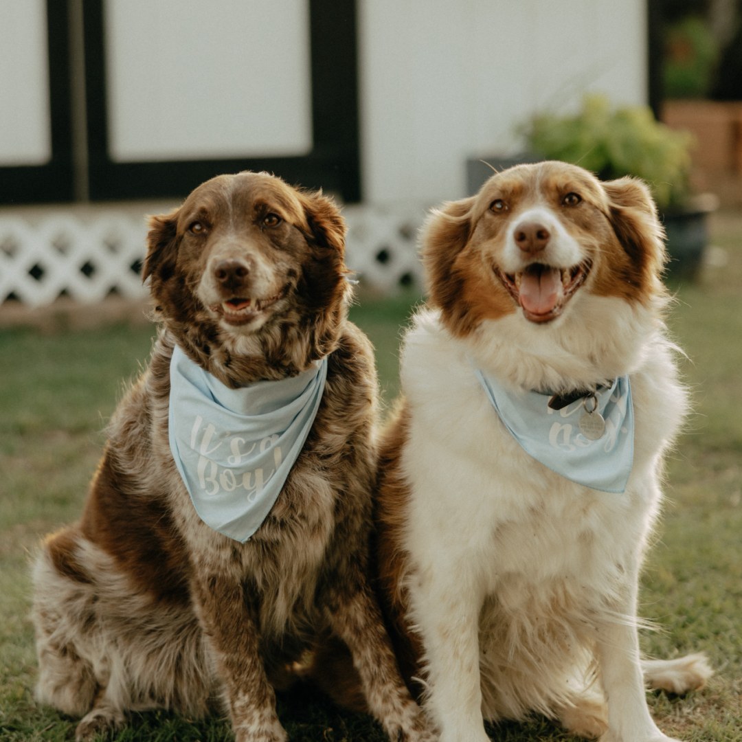 Photo shared by Hannah for their Babylist baby registry.