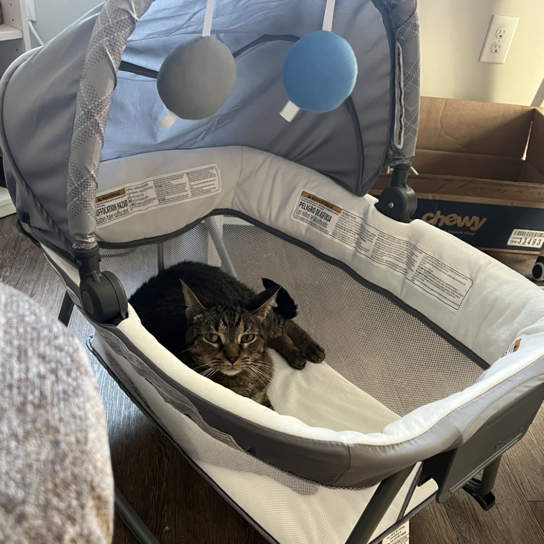 Photo shared by Mysti for their Babylist baby registry.