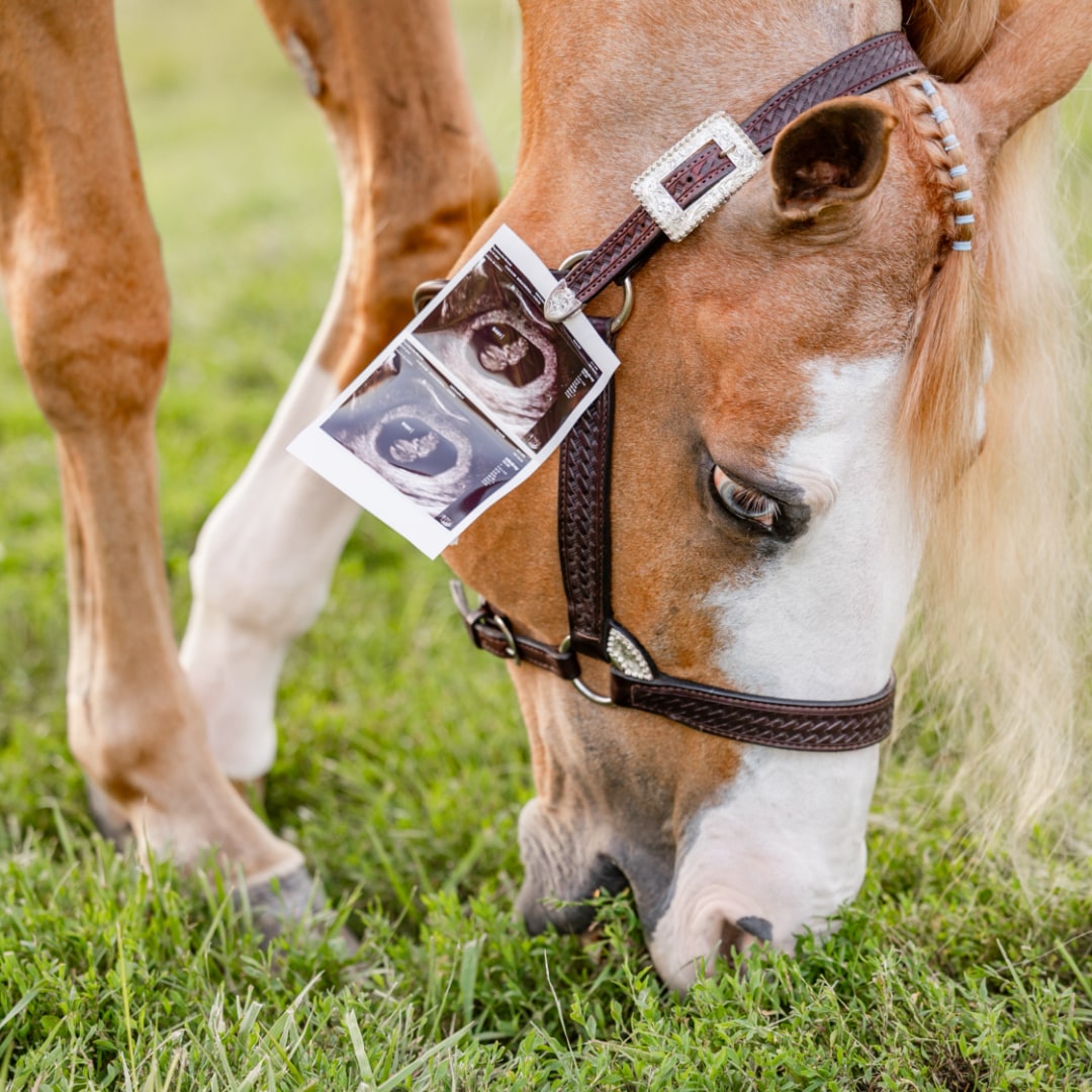 Photo shared by Molly for their Babylist baby registry.