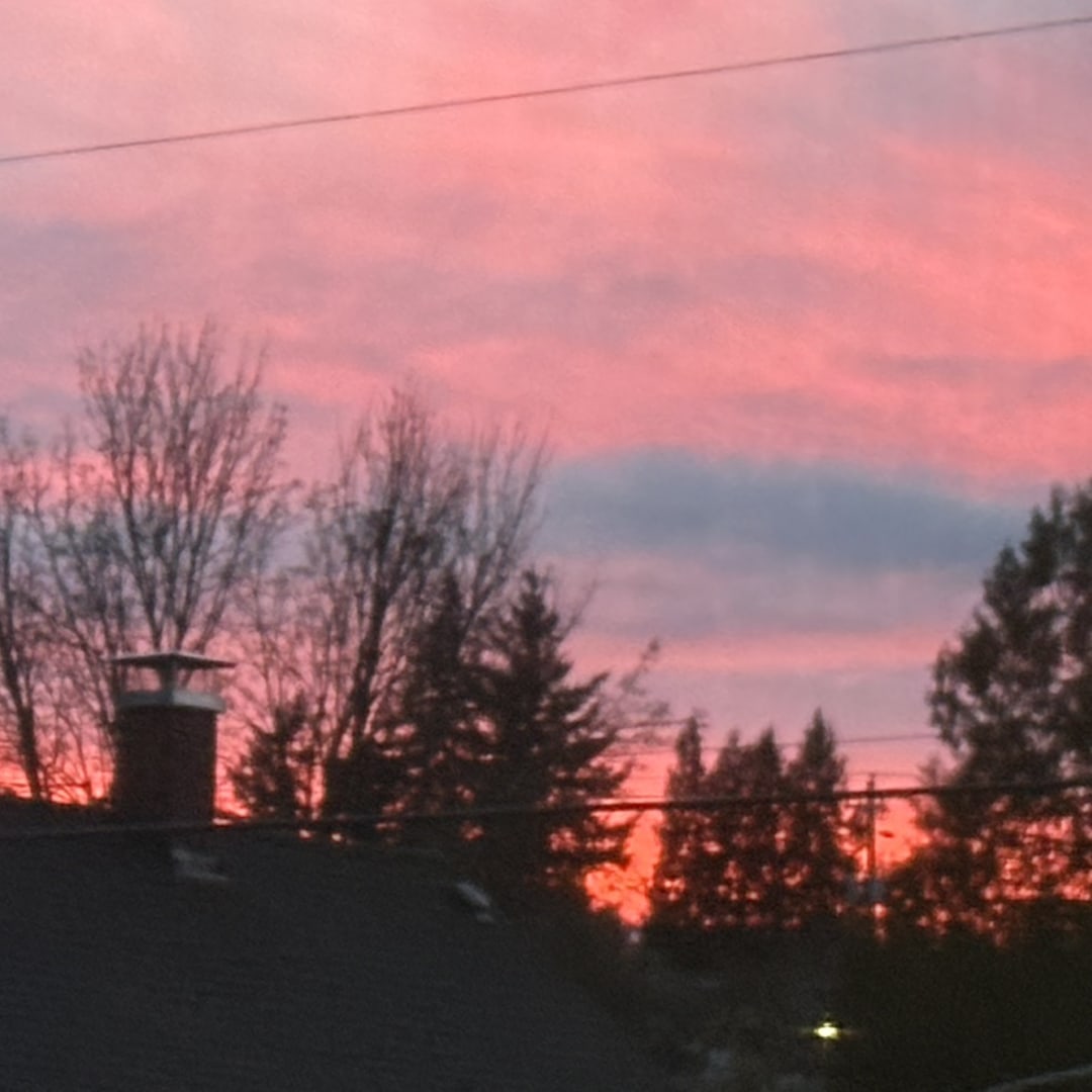 Photo shared by Aspin for their Babylist baby registry.