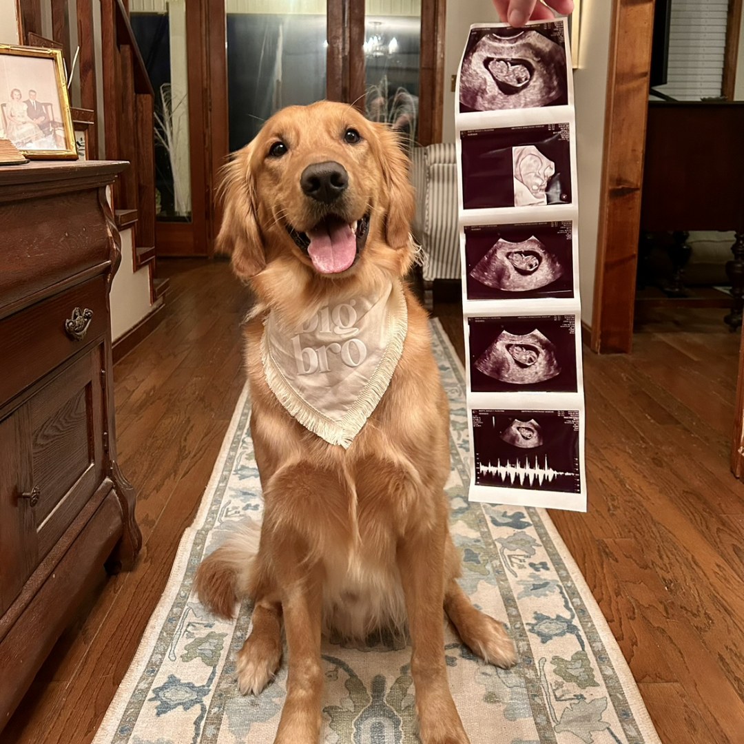 Photo shared by Ashley for their Babylist baby registry.