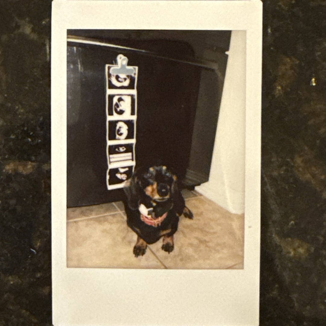 Photo shared by Anna for their Babylist baby registry.