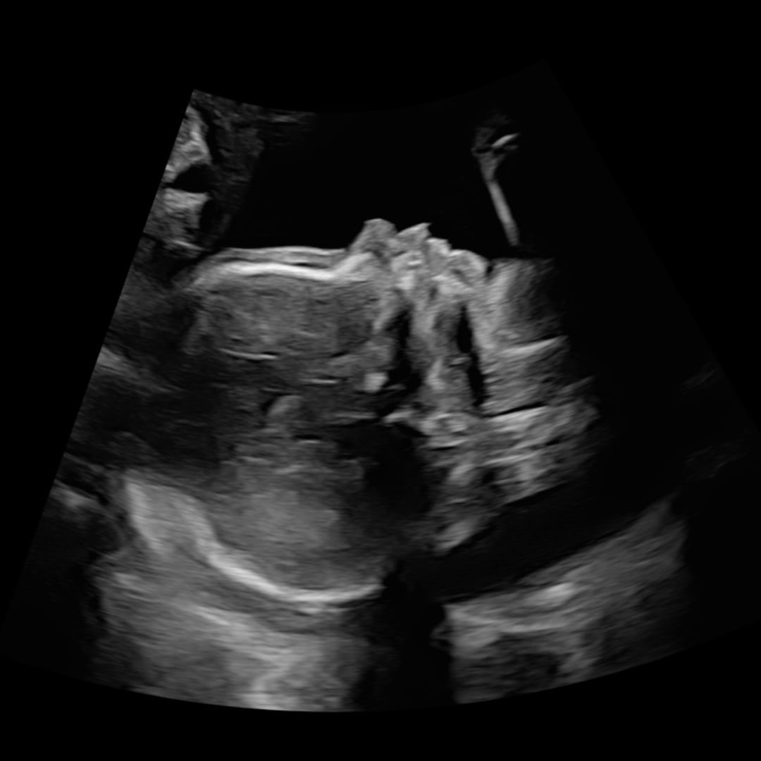 Photo shared by Kaiya for their Babylist baby registry.