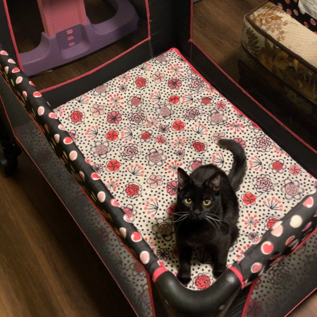 Photo shared by Claudia for their Babylist baby registry.