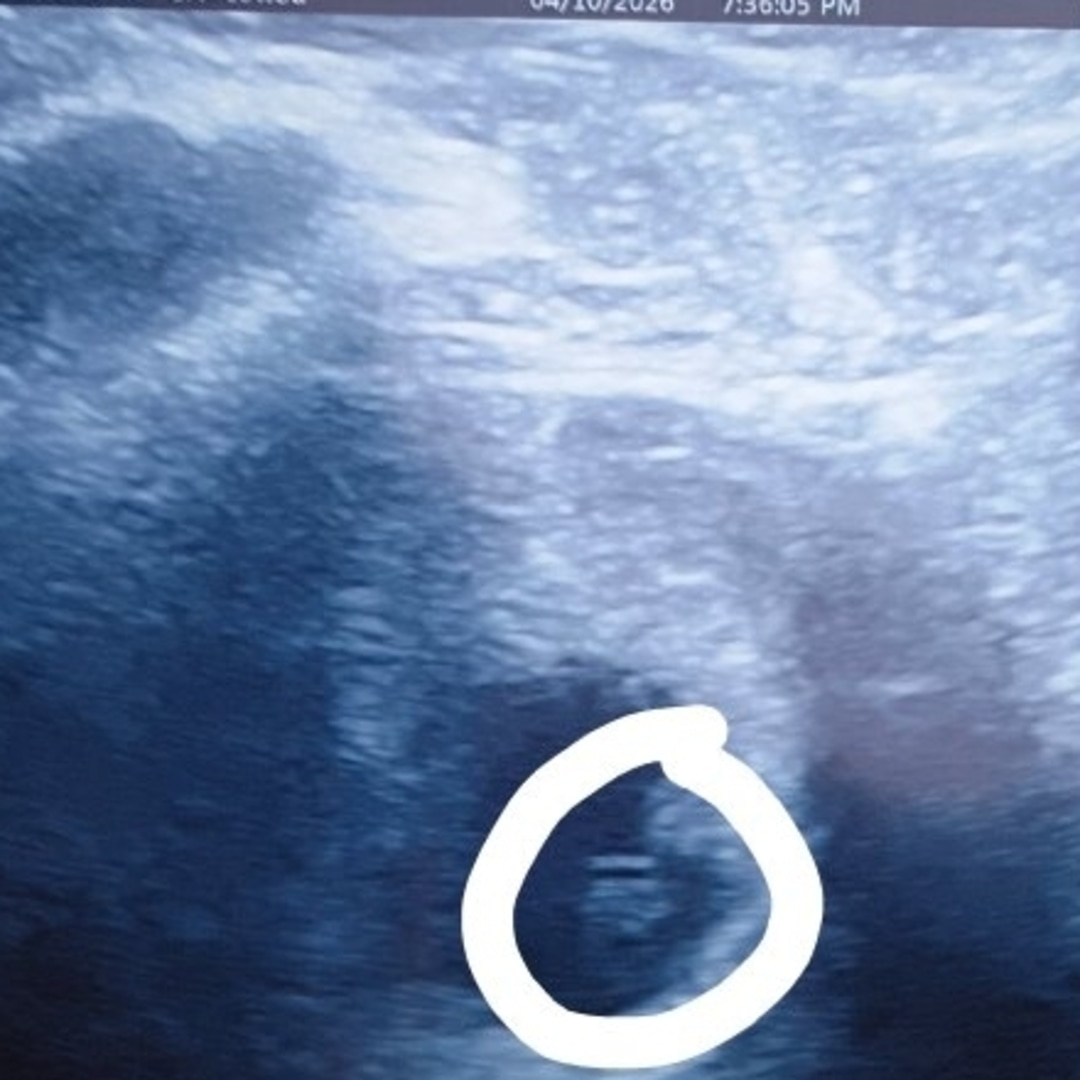 Photo shared by Erik for their Babylist baby registry.