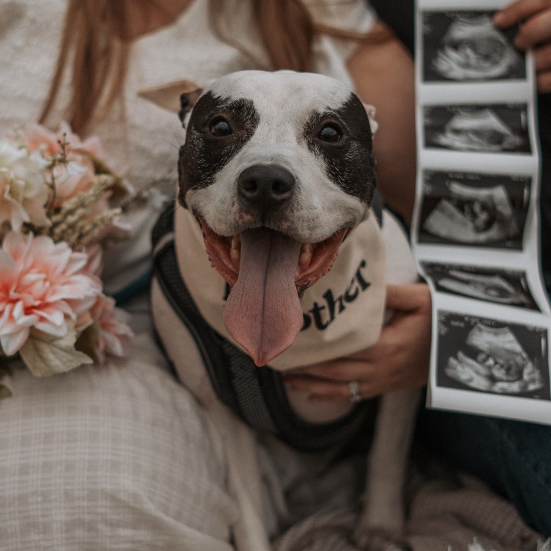 Photo shared by Chloe for their Babylist baby registry.