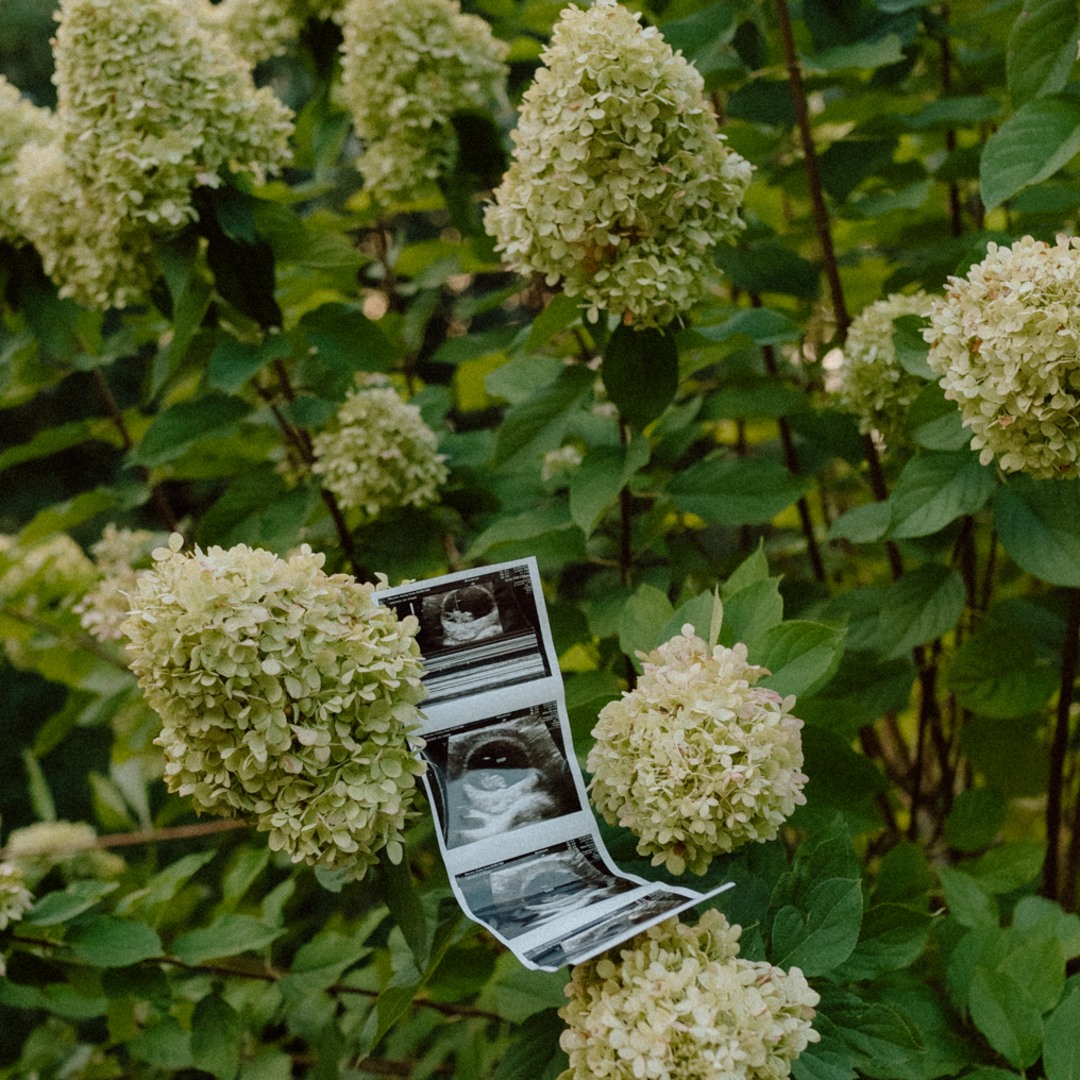 Photo shared by Kaeley for their Babylist baby registry.