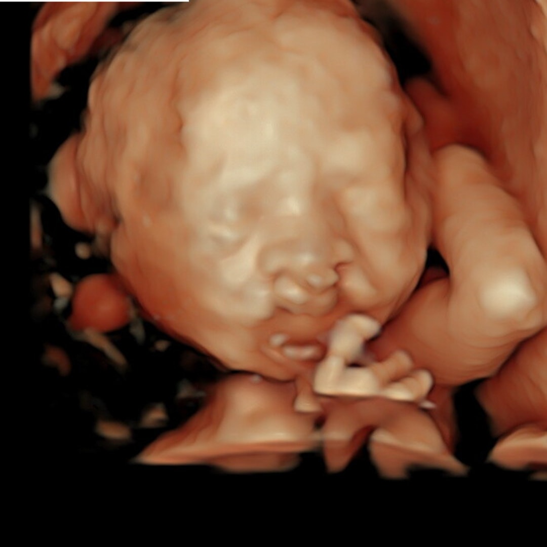 Photo shared by Carlie for their Babylist baby registry.