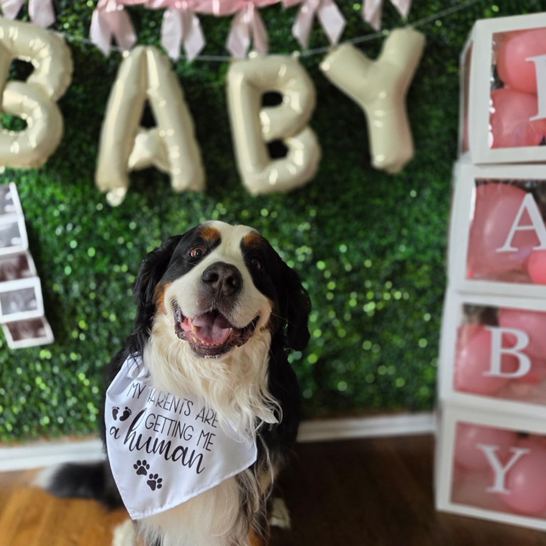 Photo shared by Jenna for their Babylist baby registry.