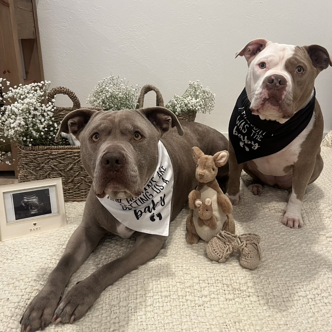 Photo shared by Michelle for their Babylist baby registry.