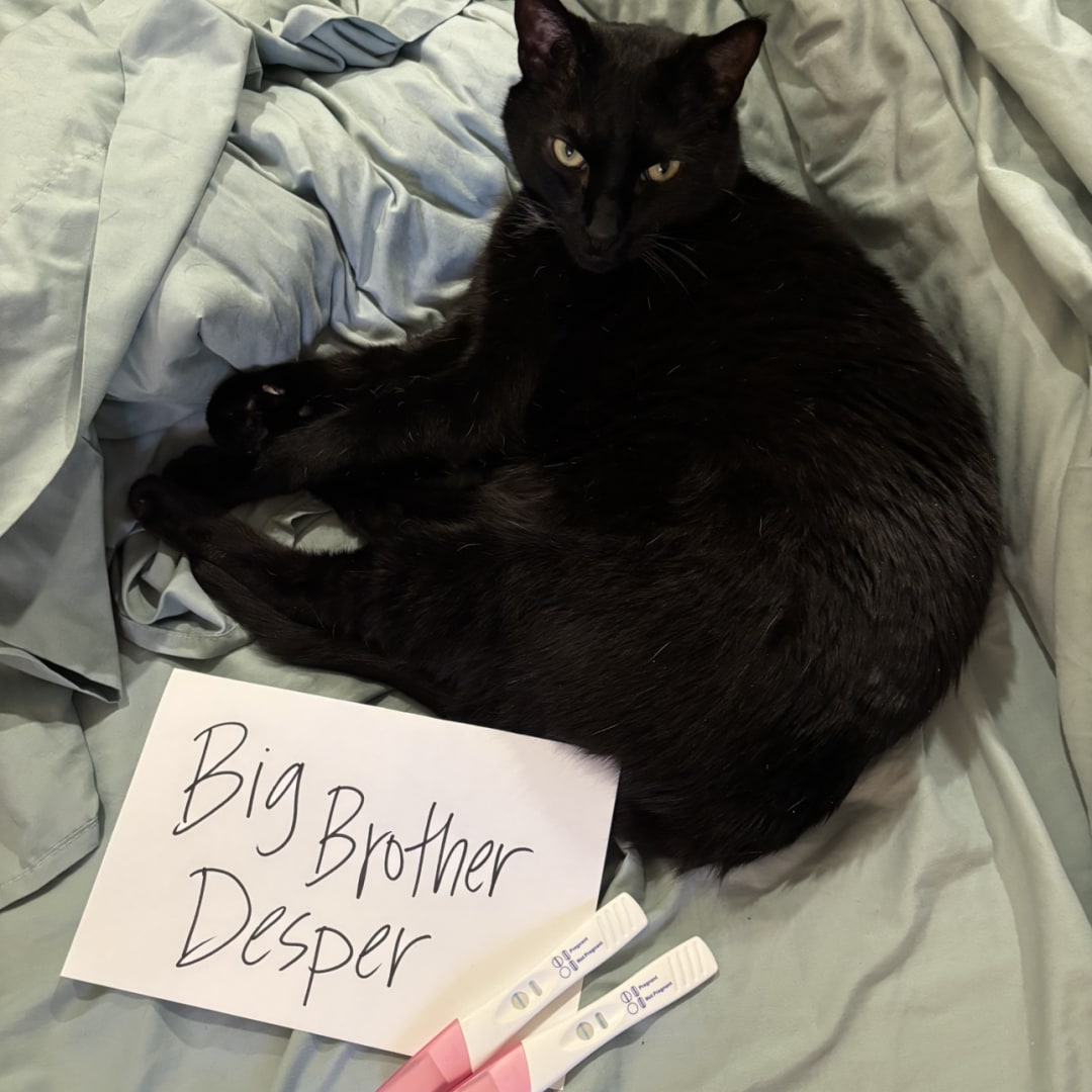 Photo shared by Bethany for their Babylist baby registry.