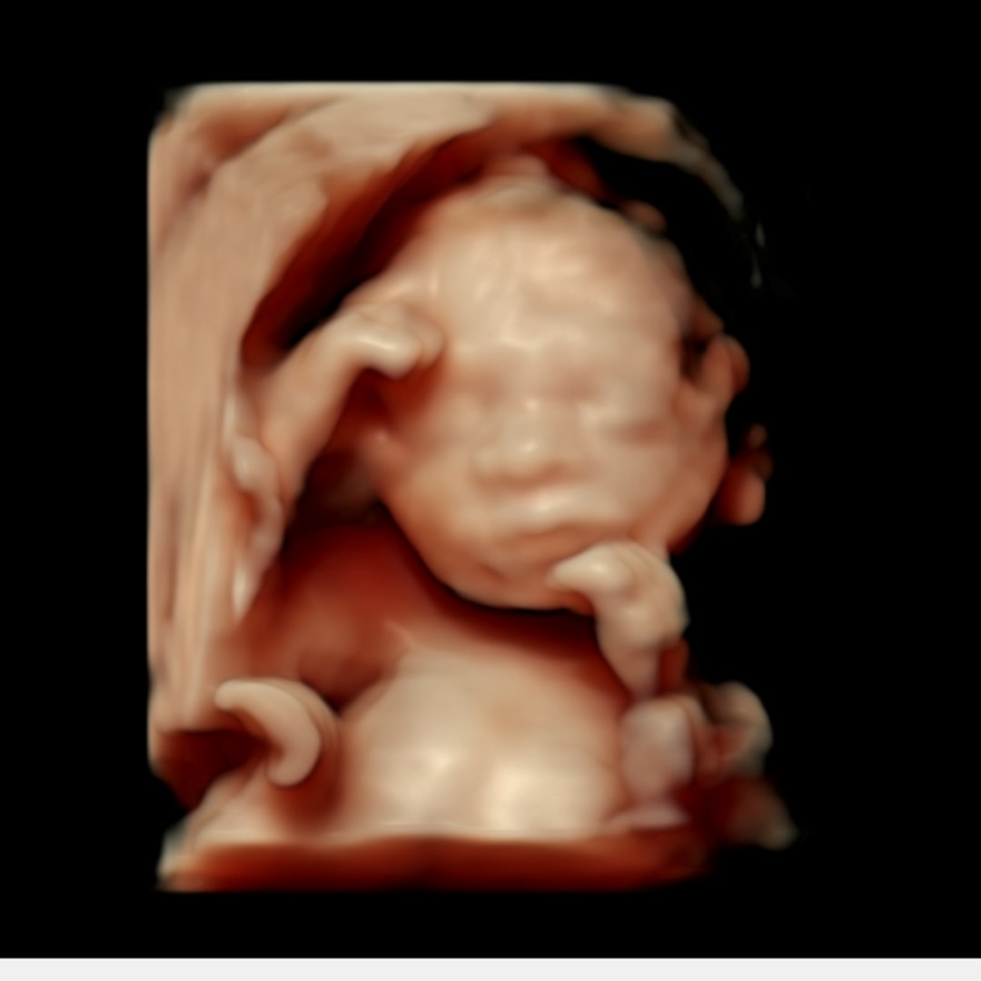 Photo shared by Amy for their Babylist baby registry.