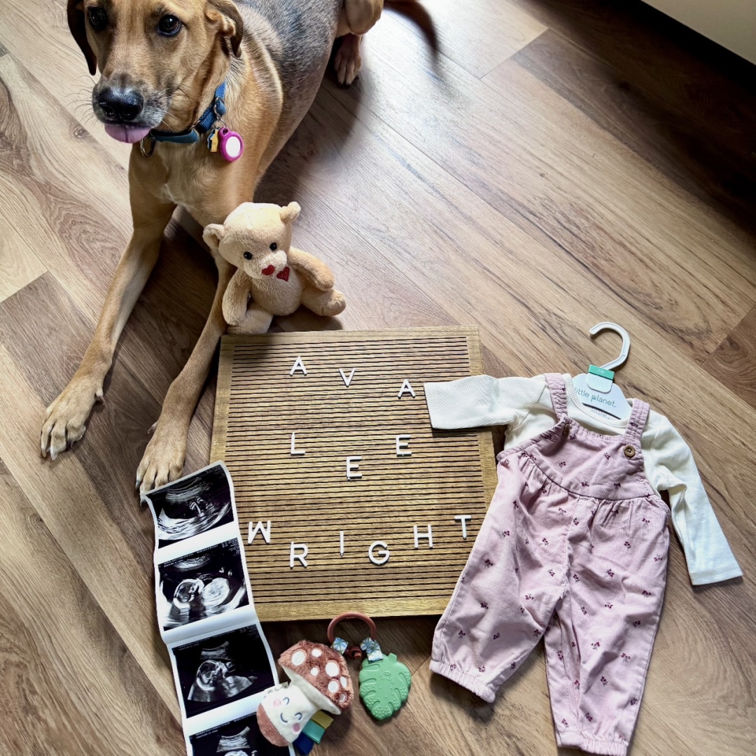 Photo shared by Ashley & Brandon for their Babylist baby registry.
