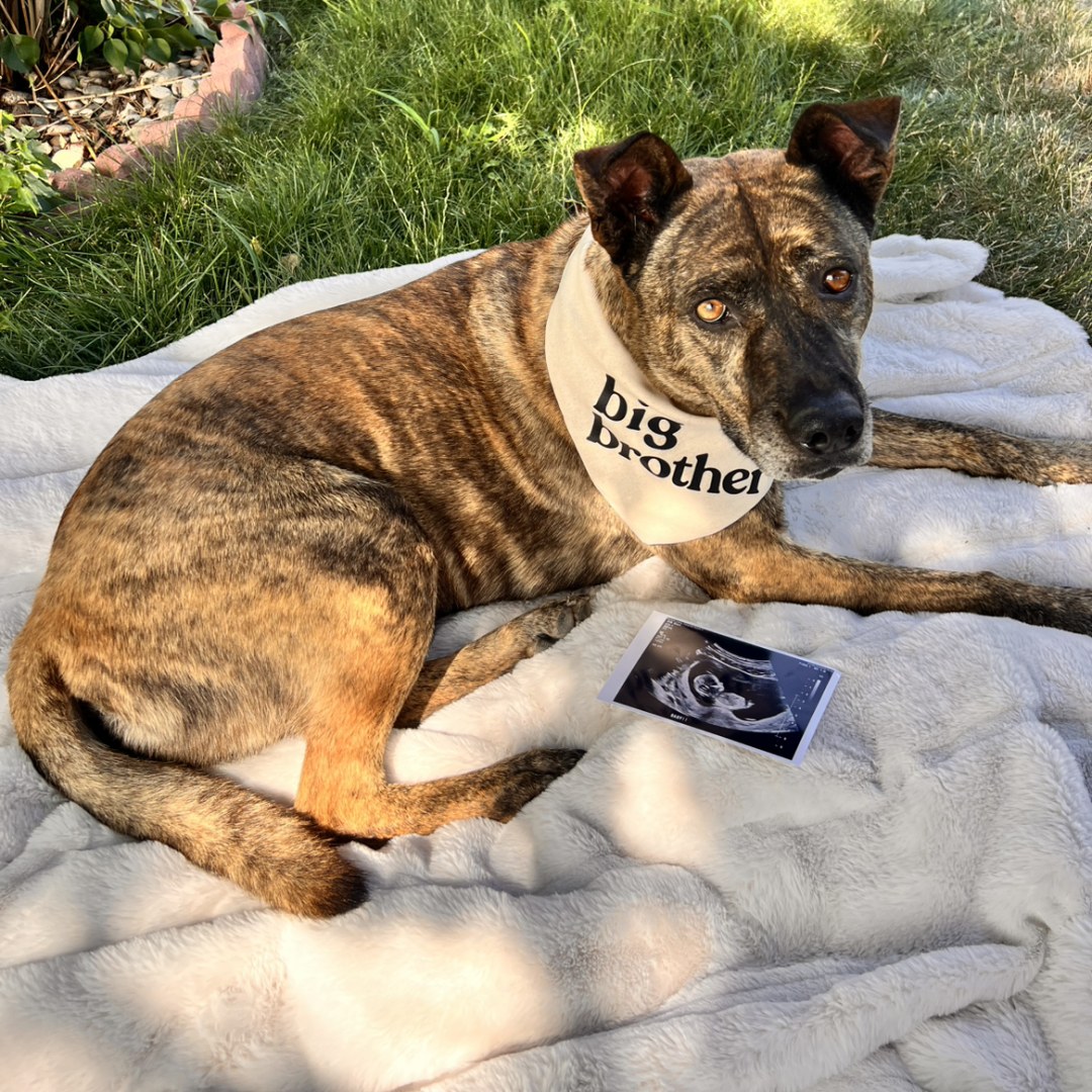 Photo shared by Jennifer for their Babylist baby registry.
