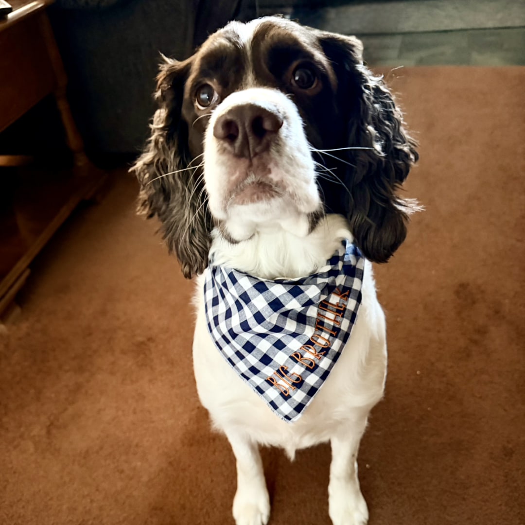 Photo shared by Ashley for their Babylist baby registry.