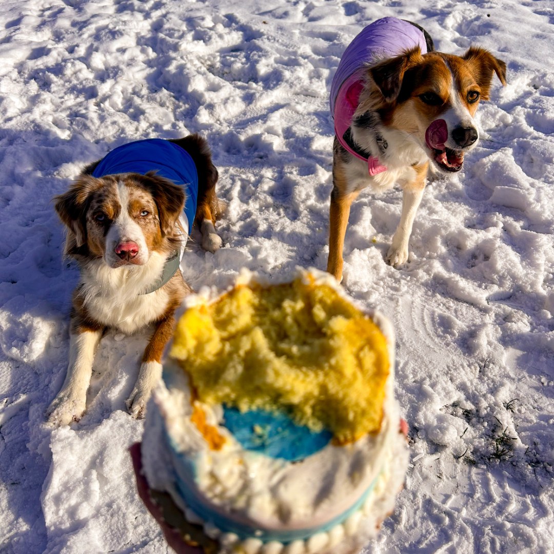 Photo shared by Sydney for their Babylist baby registry.