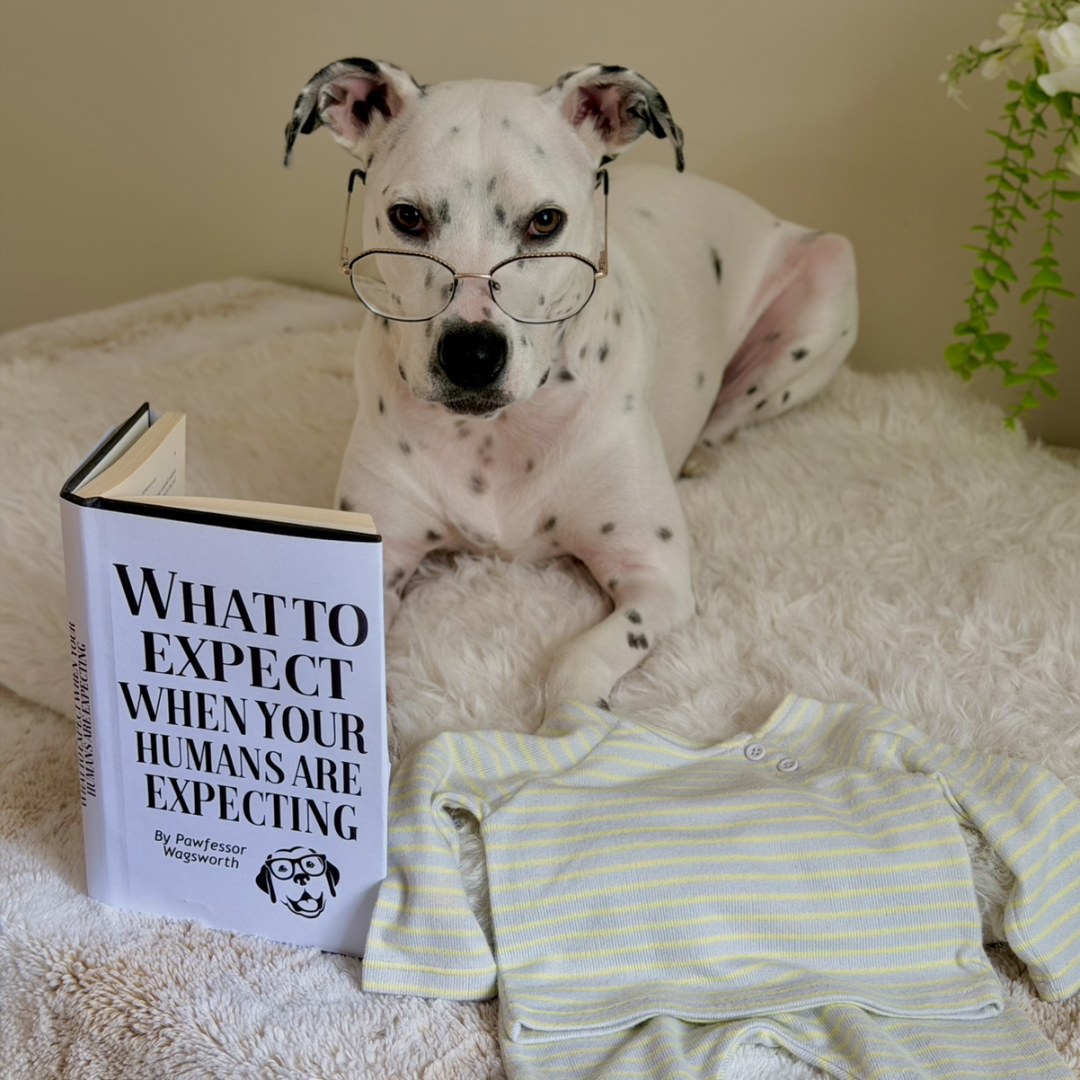 Photo shared by Erica for their Babylist baby registry.