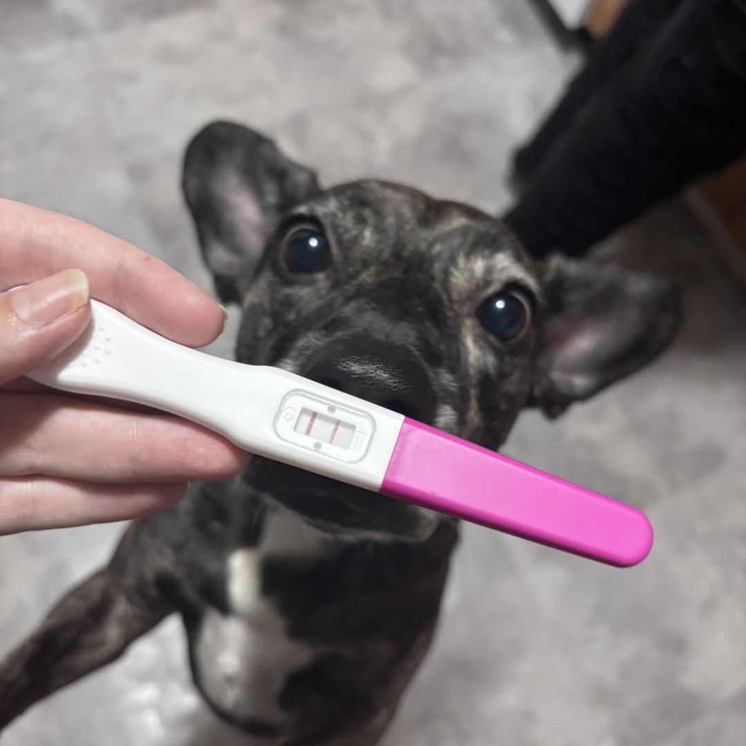 Photo shared by Evelyn for their Babylist baby registry.