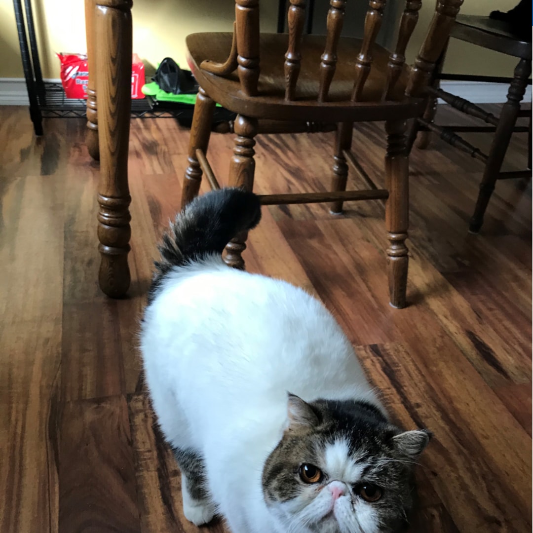 Photo shared by Rachel for their Babylist baby registry.