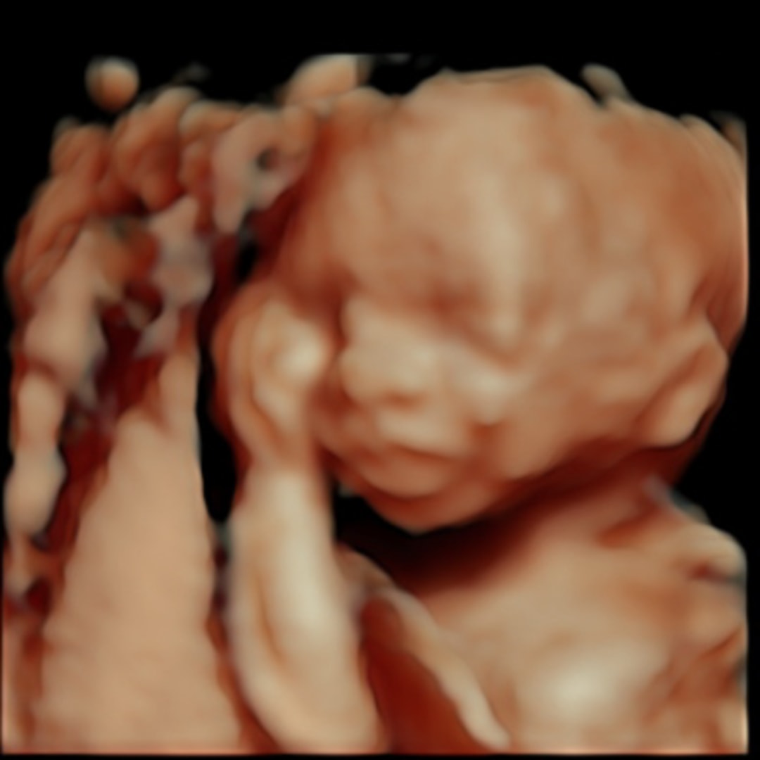 Photo shared by Dalia for their Babylist baby registry.