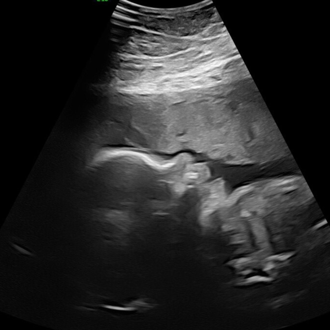 Photo shared by Asheley for their Babylist baby registry.
