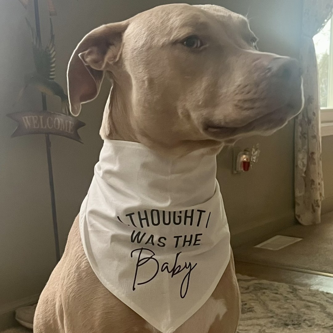 Photo shared by Alyssa for their Babylist baby registry.