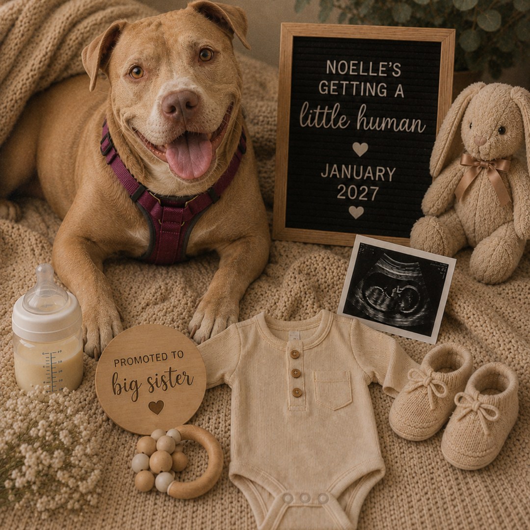 Photo shared by Brenna for their Babylist baby registry.