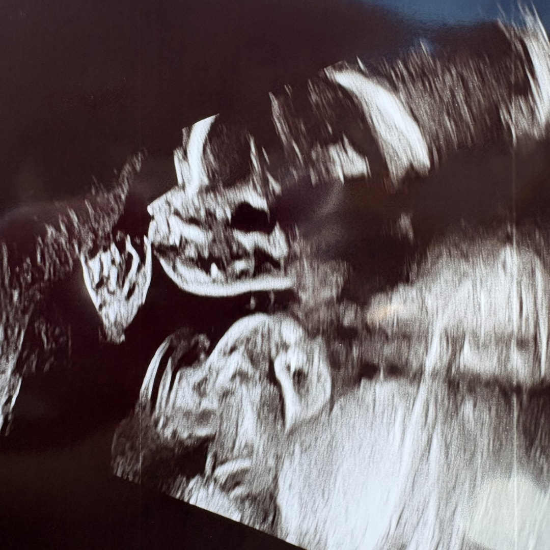 Photo shared by Alenah for their Babylist baby registry.