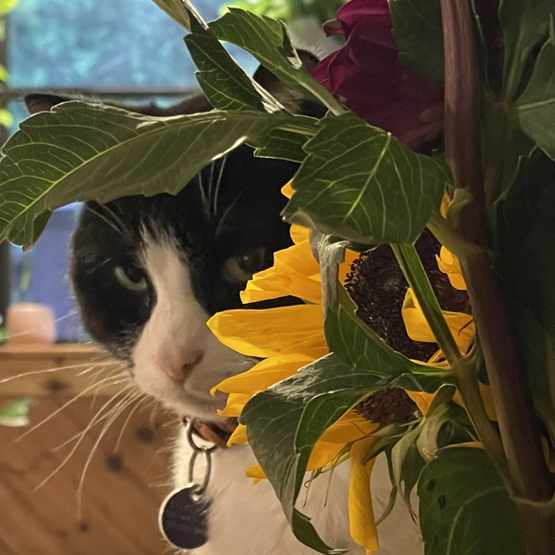 Photo shared by Anna for their Babylist baby registry.