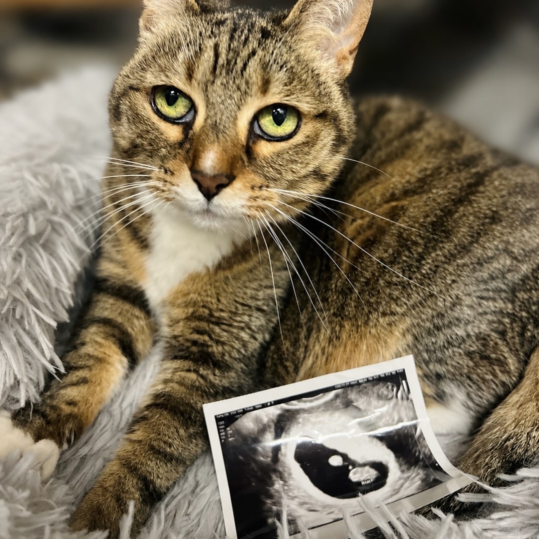 Photo shared by Claire for their Babylist baby registry.