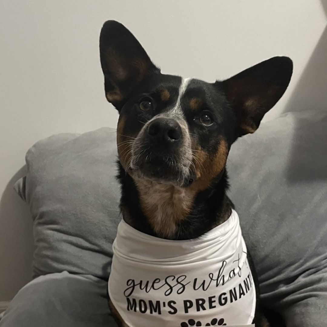 Photo shared by Kaitlyn for their Babylist baby registry.