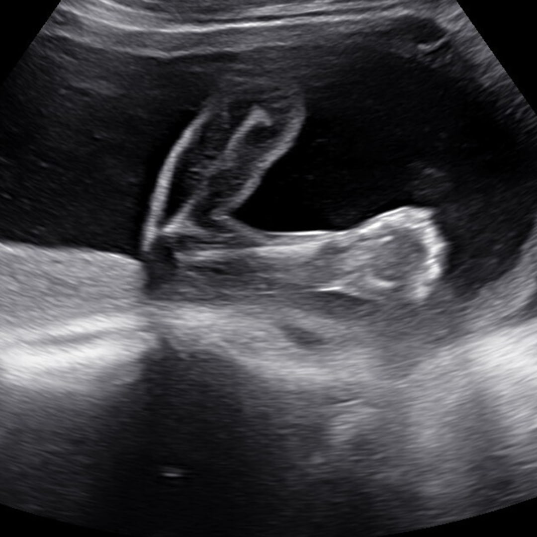 Photo shared by Heaven for their Babylist baby registry.