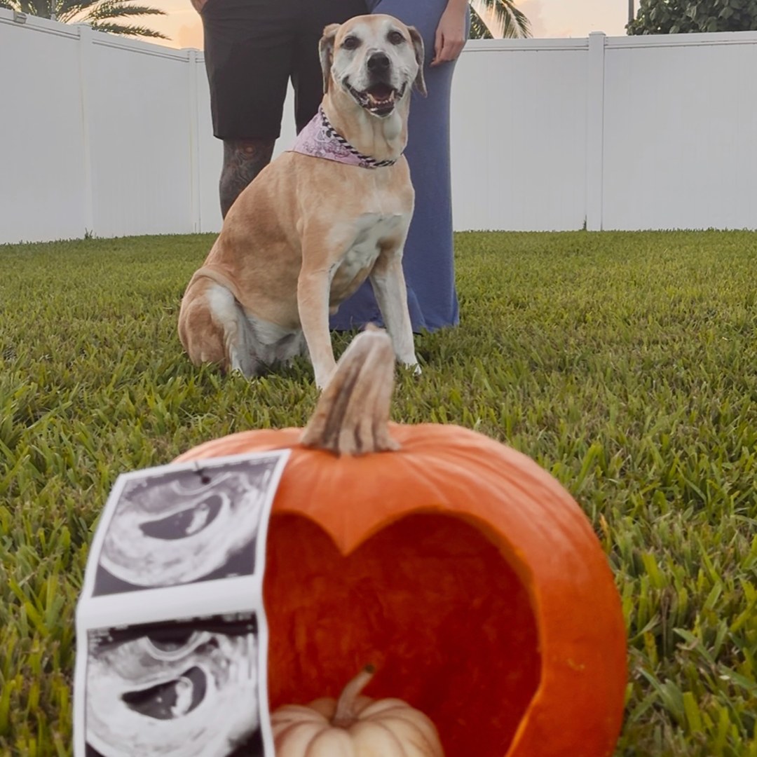 Photo shared by Alex for their Babylist baby registry.