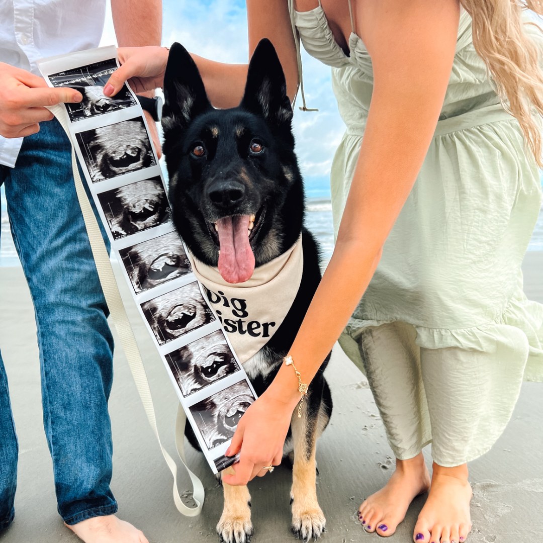 Photo shared by Amanda for their Babylist baby registry.