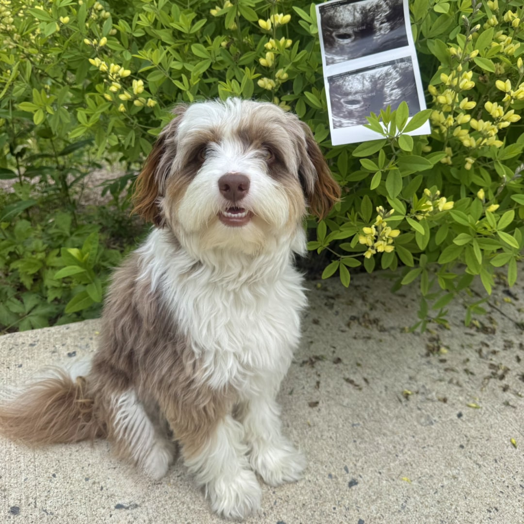 Photo shared by Gabbie for their Babylist baby registry.