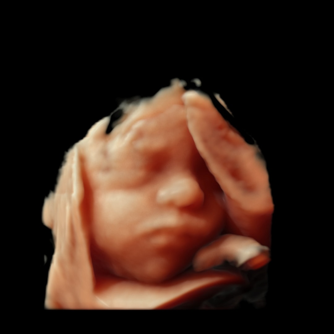 Photo shared by Michelle for their Babylist baby registry.