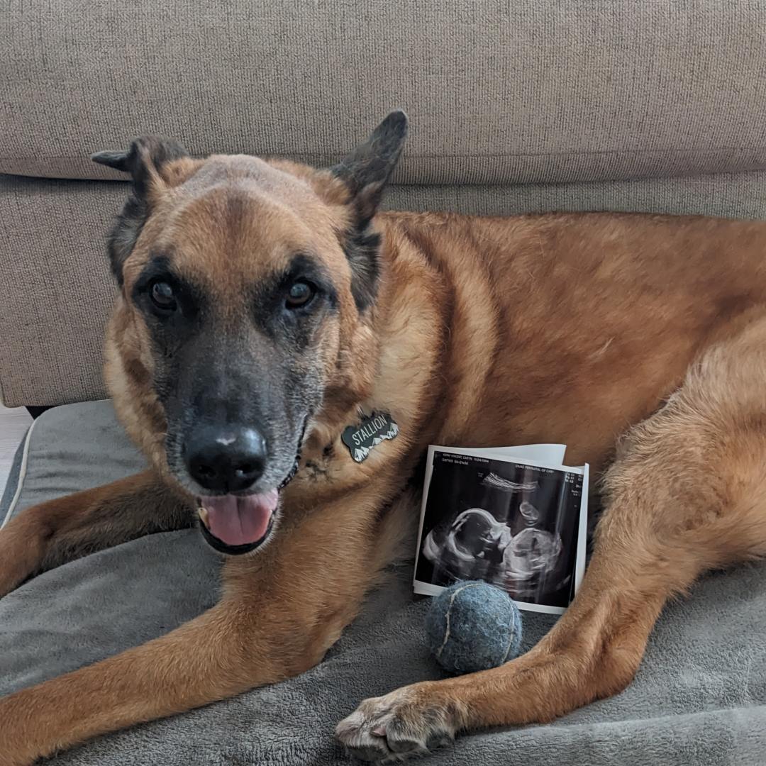 Photo shared by Caryn for their Babylist baby registry.