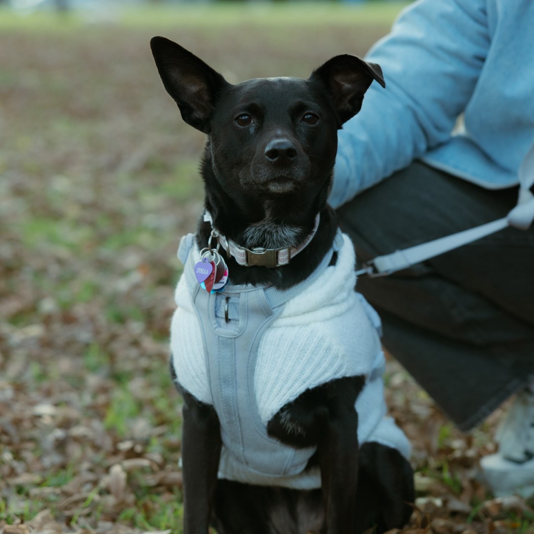 Photo shared by Christiana for their Babylist baby registry.