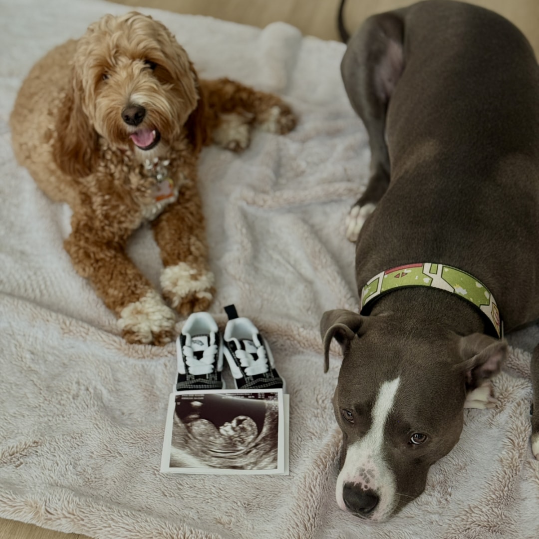 Photo shared by Jessie for their Babylist baby registry.