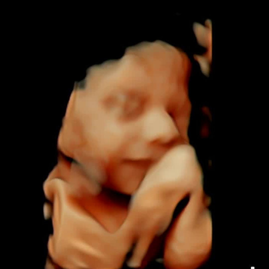 Photo shared by Christa for their Babylist baby registry.